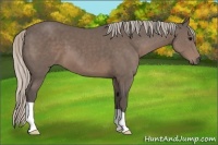 Horse Color:Silver Black 