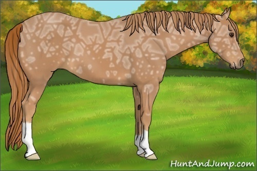 Horse Color:Chestnut Ice 