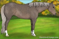 Horse Color:Silver Black 