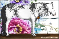 Horse Color:White Spotted Black