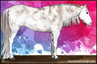 Horse Color:Black Pearl Sabino