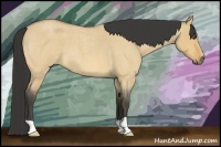 Horse Color:Buckskin Roan Dun 