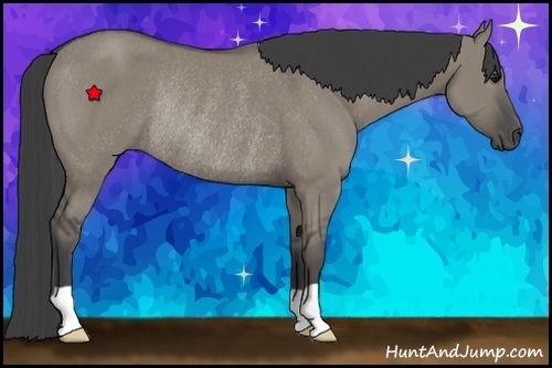 Horse Color:Smoky Grullo Rabicano 
