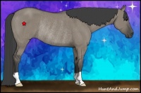 Horse Color:Smoky Grullo Rabicano