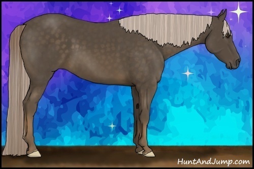 Horse Color:Chocolate Palomino 