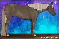 Horse Color:Chocolate Palomino