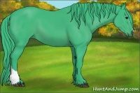 Horse Color:Watercolor Black 