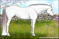 Horse Color:Gray Bay Varnish 