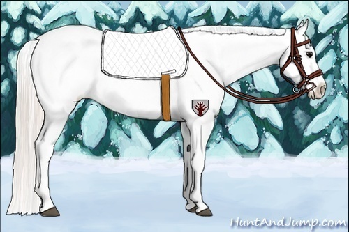 Horse Color:Silver Grullo Appaloosa 