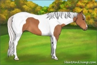 Horse Color:Silver Bay Tobiano