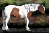 Horse Color:Bay Tobiano Rabicano