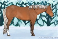 Horse Color:Silver Bay Tobiano Rabicano 