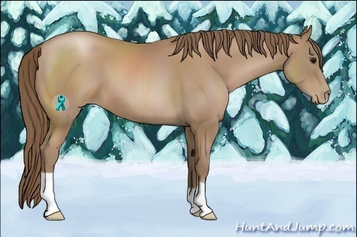 Horse Color:Black Pearl