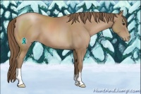 Horse Color:Black Pearl