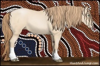 Horse Color:Smoky Black Pearl