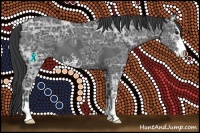 Horse Color:Black Ice Sabino 