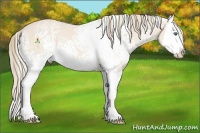 Horse Color:White Spotted Perlino Splash 
