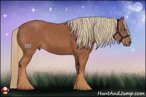 Horse Color:Chestnut Sabino Rabicano