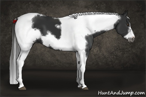 Horse Color:White Spotted Liver Chestnut Splash Tobiano Frame 