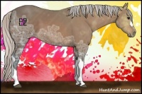 Horse Color:Silver Bay Ice 