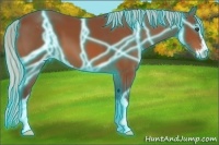 Horse Color:Thunderstruck Silver Bay Sabino 