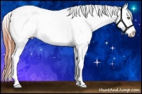 Horse Color:Sable Champagne Dun Appaloosa