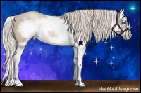 Horse Color:Chocolate Palomino Pearl Sabino Splash Frame 