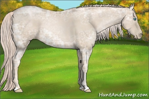 Horse Color:Palomino Ice Pearl 
