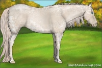 Horse Color:Palomino Ice Pearl