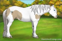 Horse Color:Classic Champagne Dun Splash Tobiano