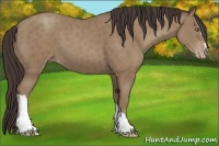 Horse Color:Classic Champagne Frame 