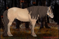 Horse Color:Amber Champagne Frame 