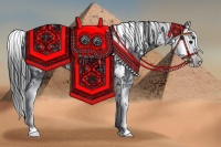 Horse Color:Black Sabino