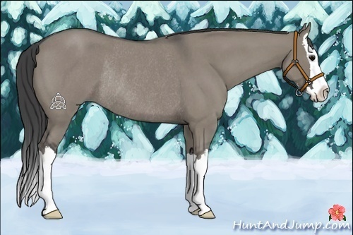 Horse Color:Smoky Grullo Roan Splash Rabicano