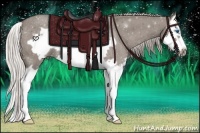 Horse Color:Silver Grullo Splash Frame Rabicano 