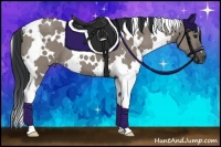 Horse Color:White Spotted Grullo