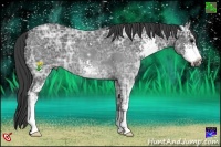 Horse Color:Smoky Black Ice Sabino