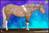 Horse Color:Silver Bay Ice Tobiano