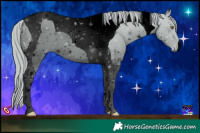 Horse Color:ERROR: UNKNOWN ANOMALY
