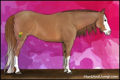 Horse Color:Chestnut Sabino Splash 