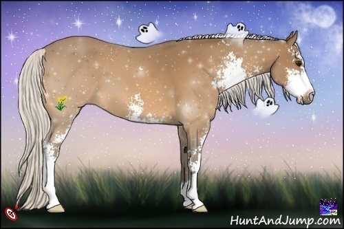 Horse Color:Silver Buckskin Sabino 