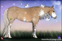 Horse Color:Silver Buckskin Sabino 