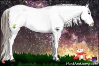 Horse Color:White Spotted Black Blanket 