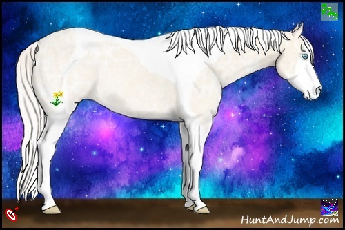 Horse Color:Cremello Ice Tobiano