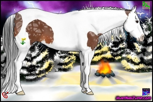 Horse Color:Bay Ice Sabino Splash Tobiano 