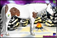Horse Color:Bay Ice Sabino Splash Tobiano 