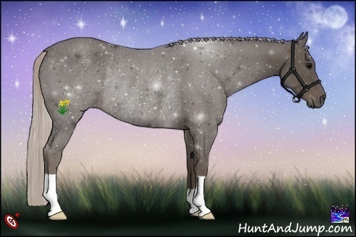Horse Color:Silver Black Rabicano