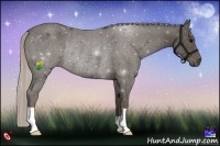 Horse Color:Silver Black Rabicano