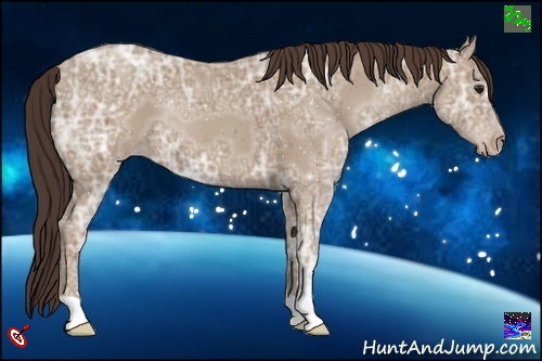Horse Color:Classic Champagne Ice 