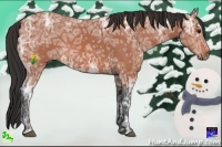 Horse Color:Bay Ice 